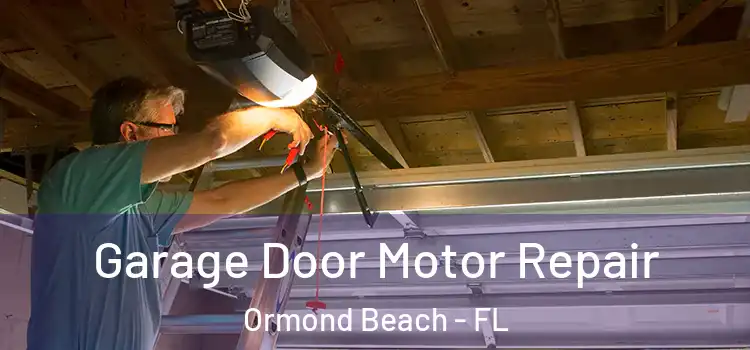  Garage Door Motor Repair Ormond Beach - FL