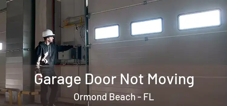  Garage Door Not Moving Ormond Beach - FL