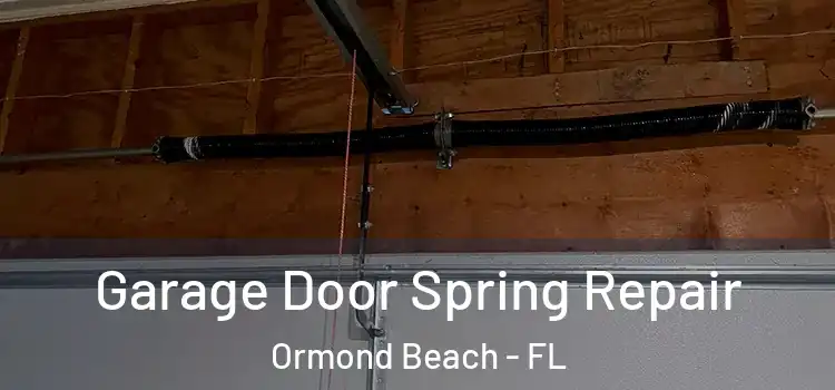  Garage Door Spring Repair Ormond Beach - FL