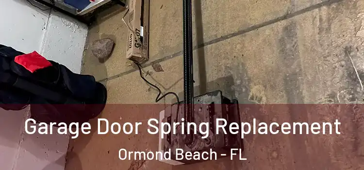 Garage Door Spring Replacement Ormond Beach - FL